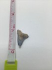 Picture 4 of 6