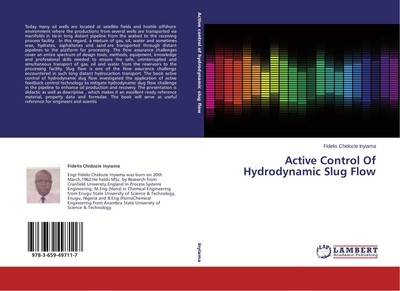 Active Control Of Hydrodynamic Slug Flow Fidelis Chidozie Inyiama
