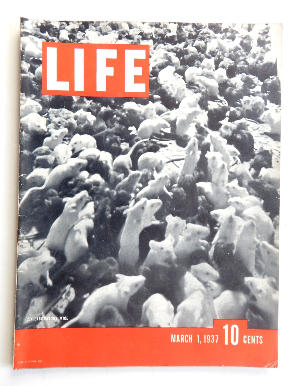 Life Magazine March 1 1937 Lab Mice Cancer Joan Crawford Thos Benton Mardi Gras