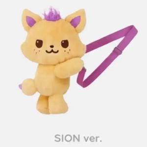 NCT Wish Dong Support Light & Pouch - Pre-Owned, Includes Photo Card