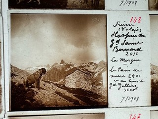 Lot 51 Photos Verre Stéréo 45x107 Hospice St Bernard Sion Alpes Suisse 1908 1938