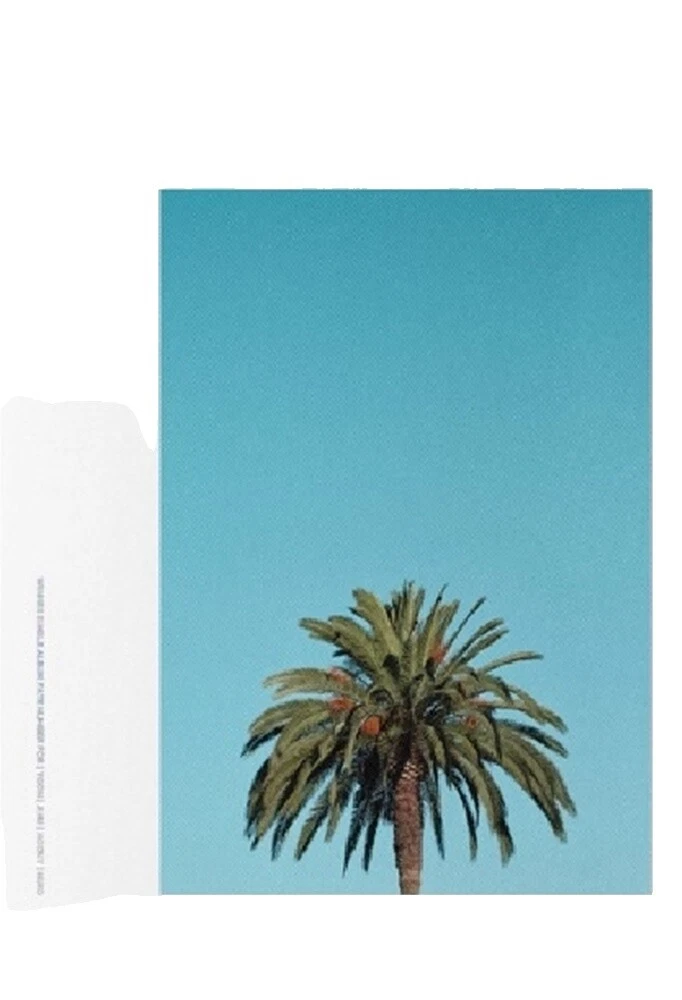 Ganador Pop Single CD de Música