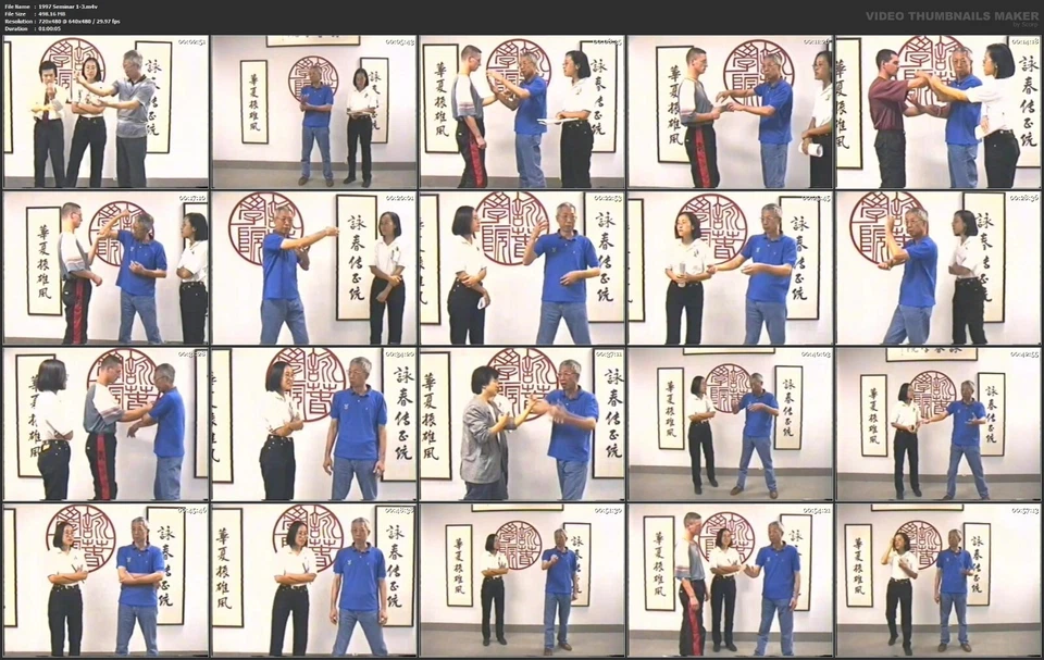 Chu Shong Tin's Intensive Wing Chun Seminar Series (9 DVD Set) Foto 3 de 4