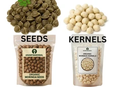 Moringa Seeds for Planting | Non-GMO from India Very Fresh | Bulk