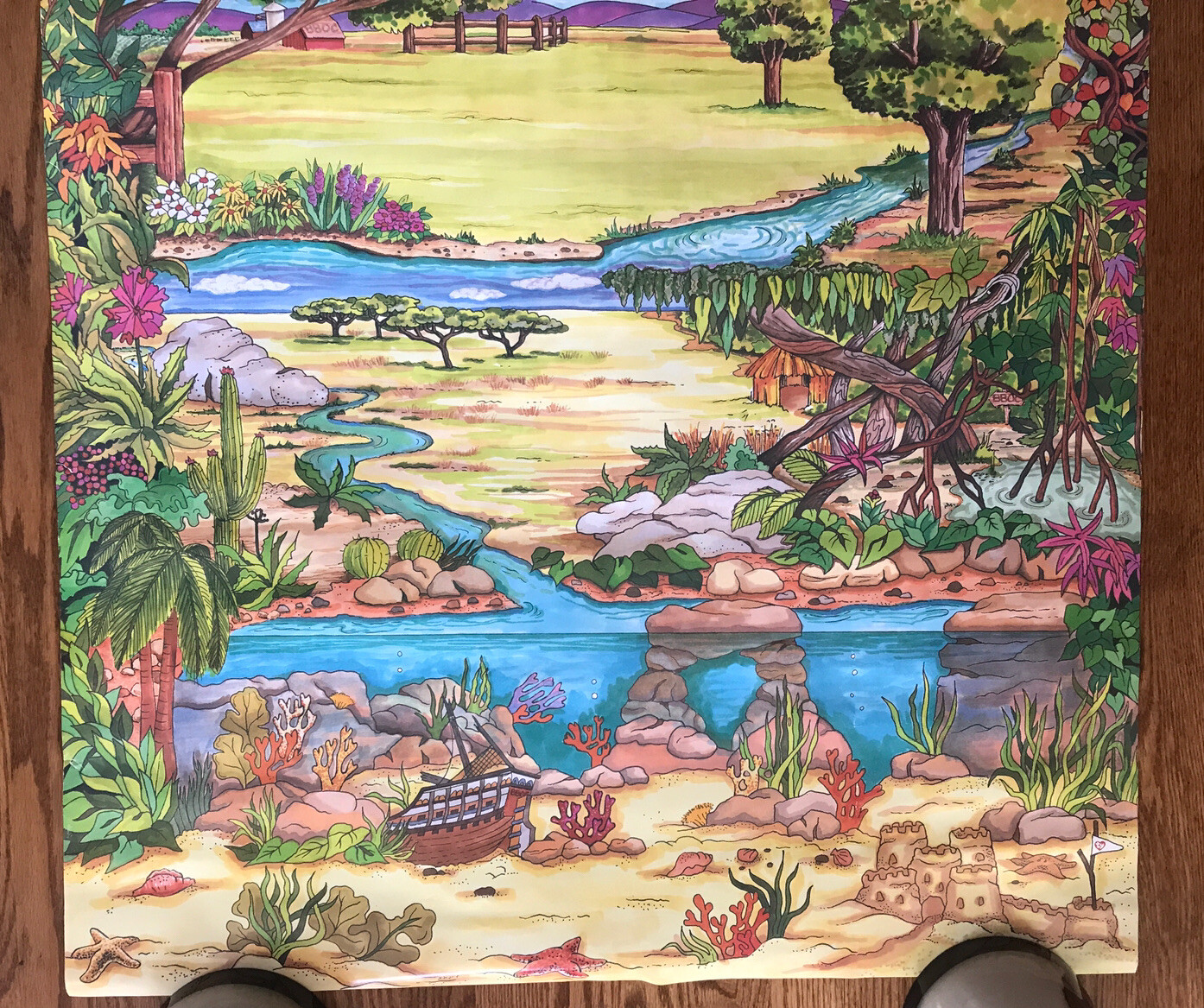 Picture 3 of 12