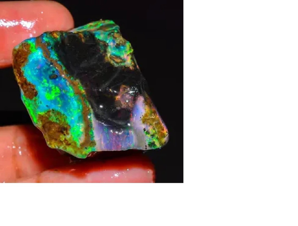 Virgin Valley Black Precious Opal Petrified Wood Nevada