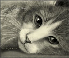 Chinese 100% real natural silk thread,su hand embroidery kits:cute kitty cats 