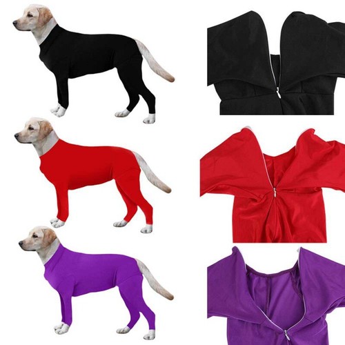 dog surgery bodysuit