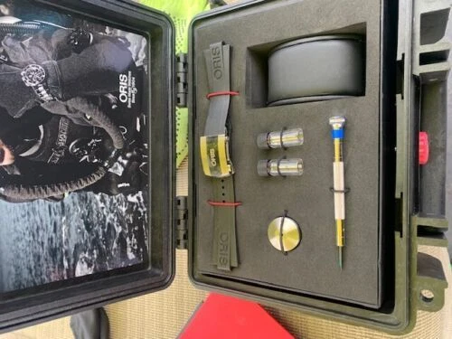 Oris Two-Piece Strap Resin Wristwatch Bands