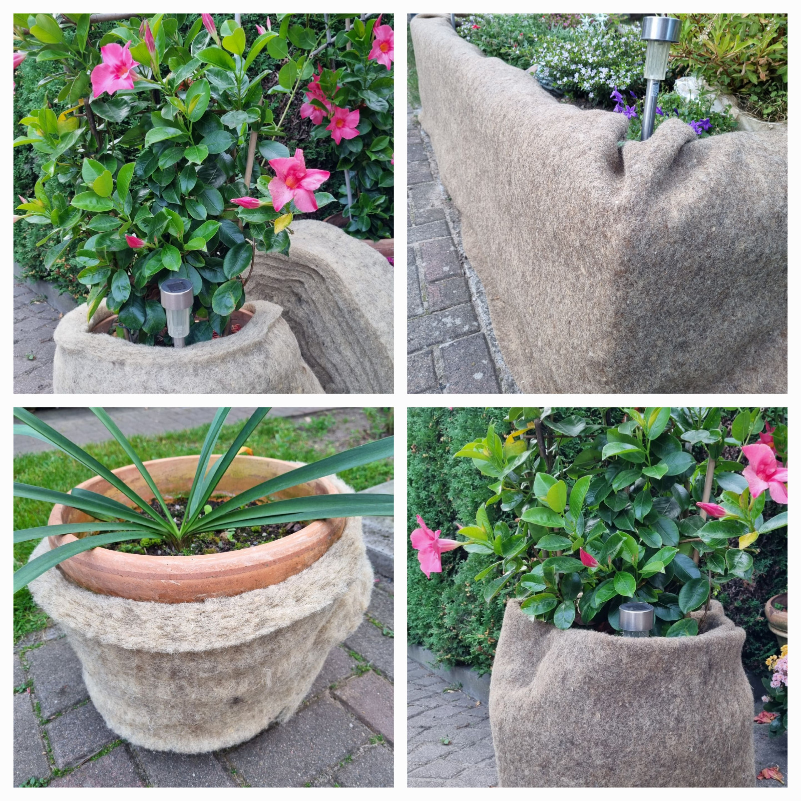 Winterschutz für Pflanzen 100 BIO Vlies Kälteschutz Frostschutz