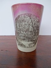 THE OLD MILL DAM BOWERSTON OHIO SOUVENIR TUMBLER