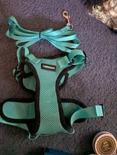 Rabbitgoo Pet Harness And Leash