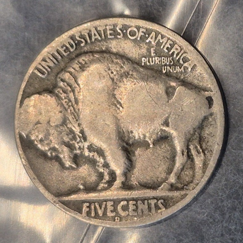 1925-D Buffalo nickel reverse, second view
