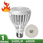 Bild 29 von 86