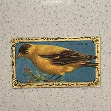 1910 ITC of Canada Game Bird Series C14 The Goldfinch #28