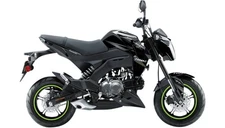 Dcor 20-20-322 Z-125 Pro Graphic - Lights Out