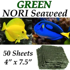 GREEN Nori Seaweed 50 Sheets 4"x7.5" Saltwater Aquarium Marine Fish Food Algae