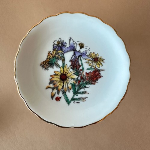 Vintage COLORADO SOUVENIR Miniature Teacup & Saucer - Butter Pat - WILDFLOWERS - Picture 8 of 12