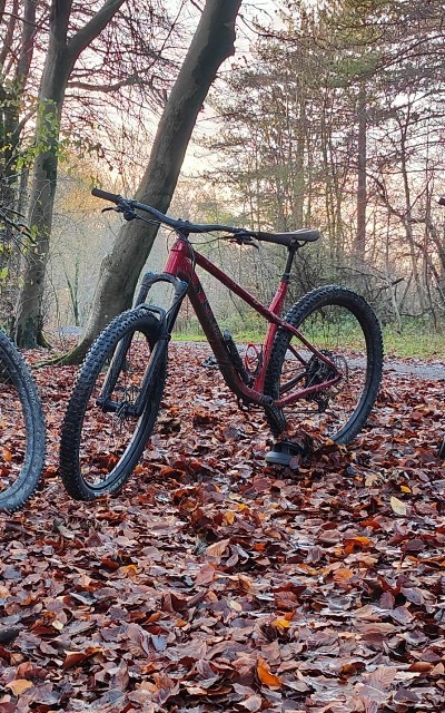 Trek Roscoe 9 XL