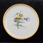Vintage Audubon Goldfinch Bird Thistle Plate 1960s Hutschenreuther Germany Pasco — photo 1