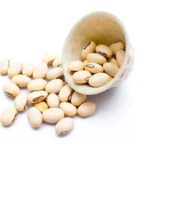 White Kaunch Seeds Mucuna Pruriens Indian Velvet Bean Konch Beej Kapikacchu