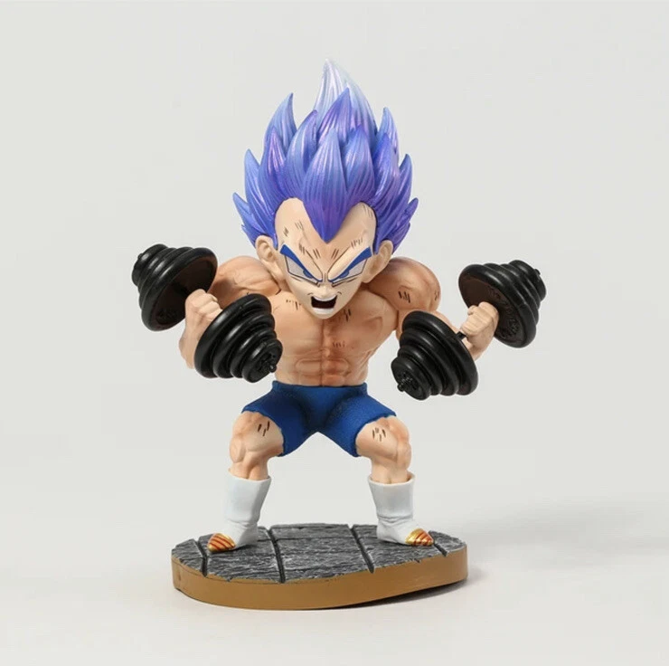 Dragon Ball Z Vegeta Fitness
