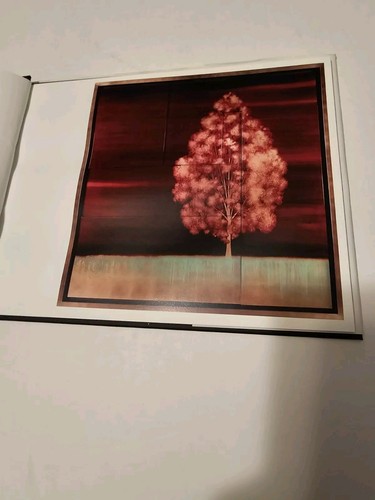 Hamilton Aguiar Art Book signiert 2004-2008 - Bild 4 von 7
