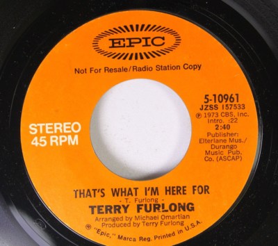 Rock Promo 45 Terry Furlong - That'S What I'M Here For / That'S