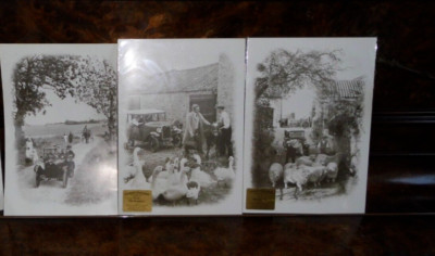 3 LANDLIEBHABER DORF LEBEN SAMMLUNG BILDER