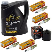 Set ÖLfilter ZüNdkerzen 4L ÖL FüR BMW K 1200 GT LT RS K1200 1997-2009 Inspektion