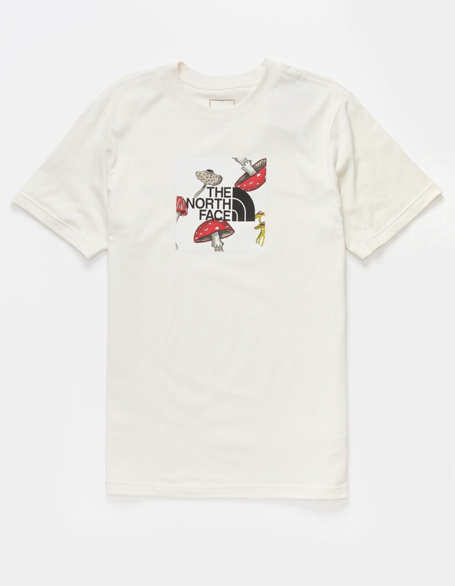 TNF THE NORTH FACE MENS Boxed In Mushroom Logo Graphic T