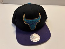 Mitchell Ness NBA Chicago Bulls Snapback Hat Black Teal Purple Cap Philly New