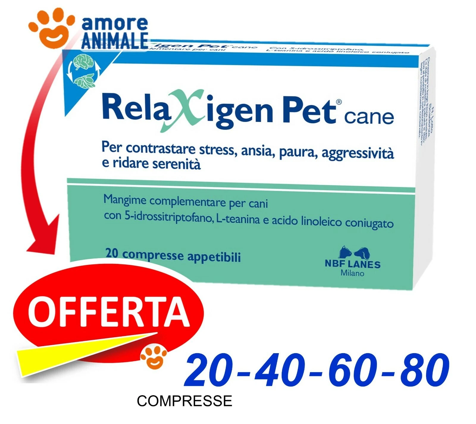 Foto 1 di 5