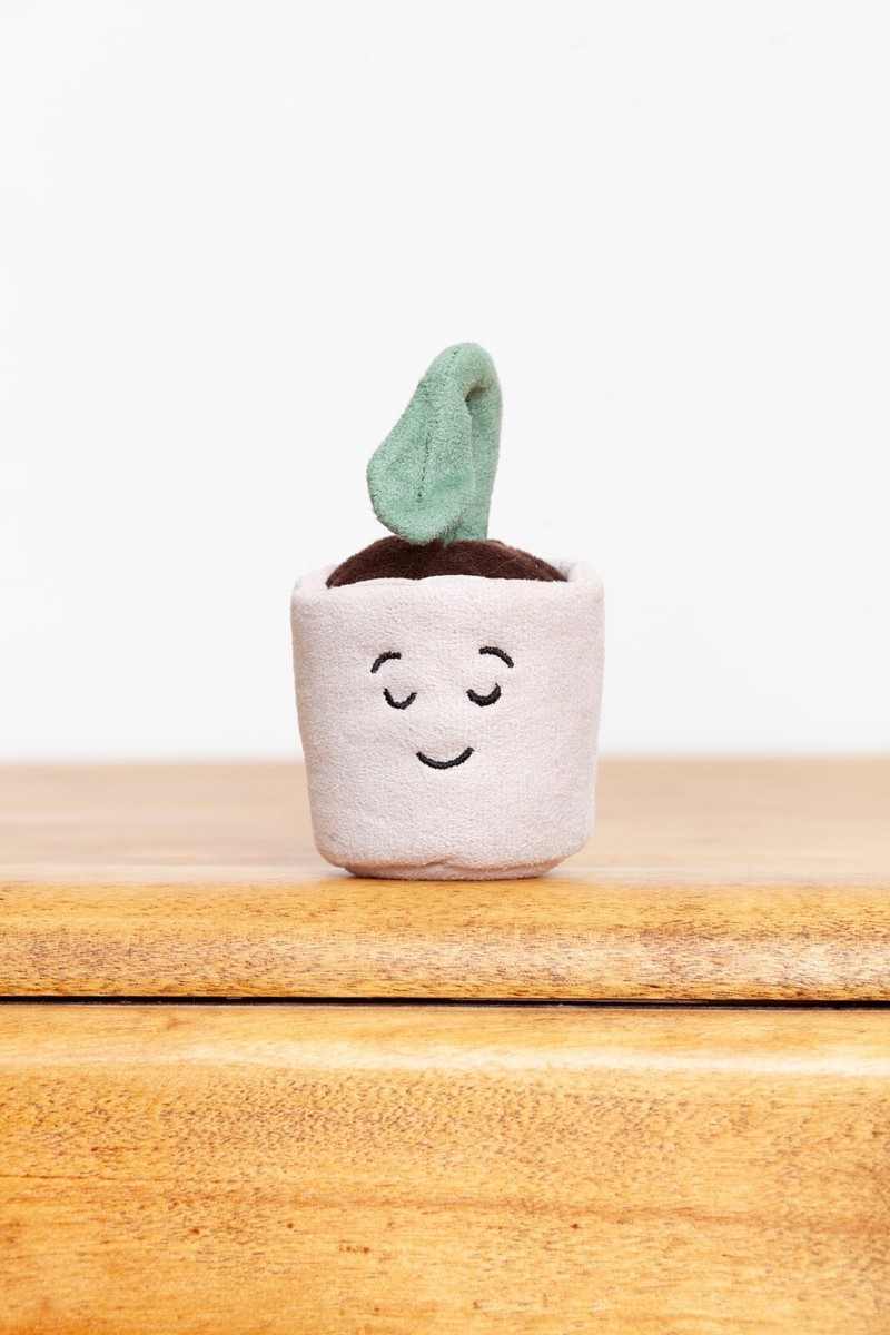 廃盤　新品　 Silly Seedling Serene 植物 Jellycat Silly Seedling Happy – Destination Baby & Kids