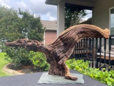 MOUNTED MOPANI WOOD AQUARIUMS FISH RIPTILES DECORATION PET SUPPLIES ART GARDEN