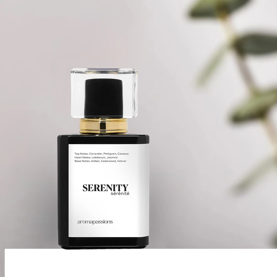 Bergamot vanilla perfume sales