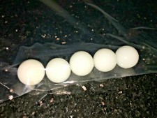 AGGRAVATION 5 WHITE GLASS MARBLES parts ONLY 1977