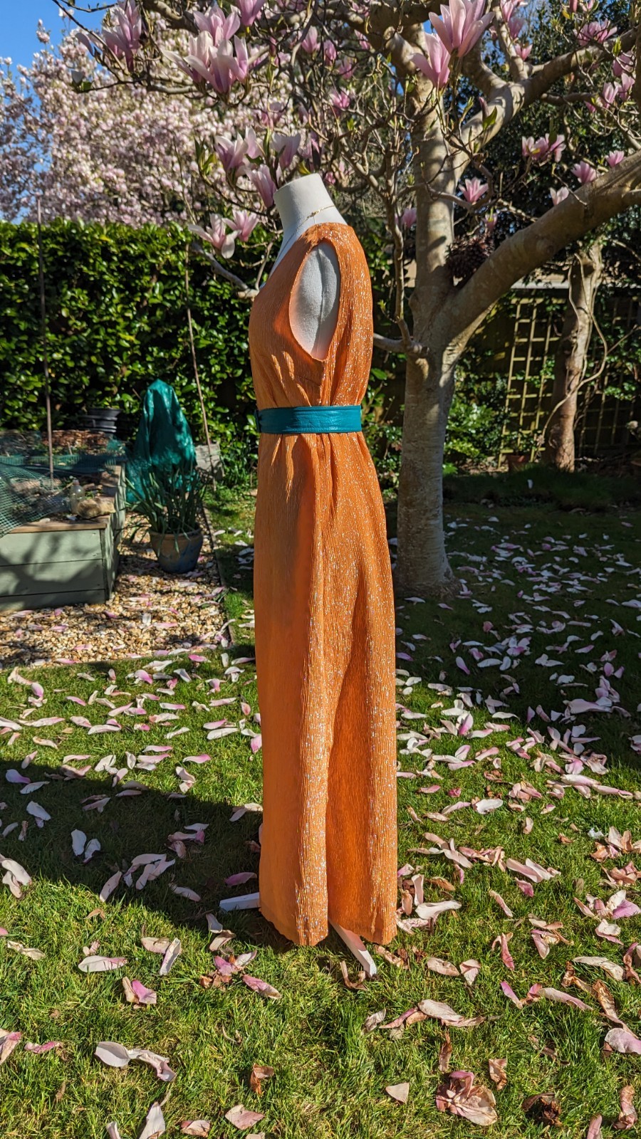 Picture 6 of 23