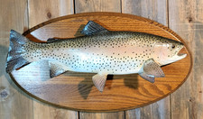 Nice 20” Vintage Trout Taxidermy Fish Real Skin 2 Side Mount Wood Plank