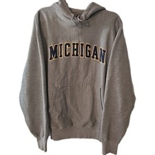 Champion Reverse Weave MICHIGAN Hoodie Size XL Embroidered Patch Logo Y2K Gray