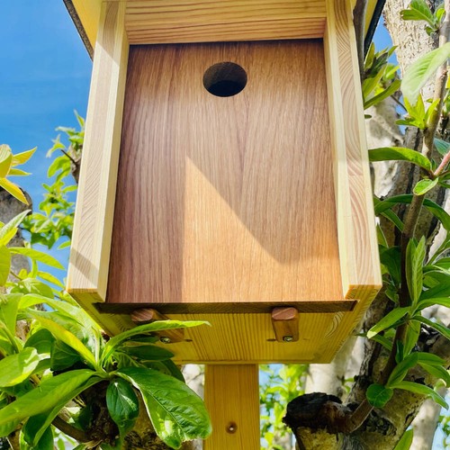 DARLUX Natur Holz Nistkasten für Kohlmeise u. kleine Singvögel Ø 32 mm - Bild 4 von 5