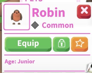 Adopt Me! Robin In-Game Virtual Item/Asset - Common Pet, Junior Generation