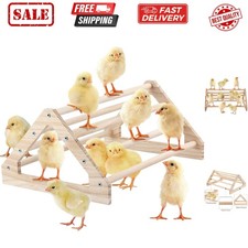 Chicken Perch Jungle Gym Roosting Bar, Pine Wood, Large