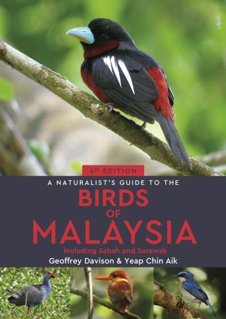 A Naturalist’s Guide to the Birds of Malaysia by Geoffrey Davison - Image 8