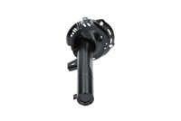 StoßDäMpfer Kavo Parts SSA-10281