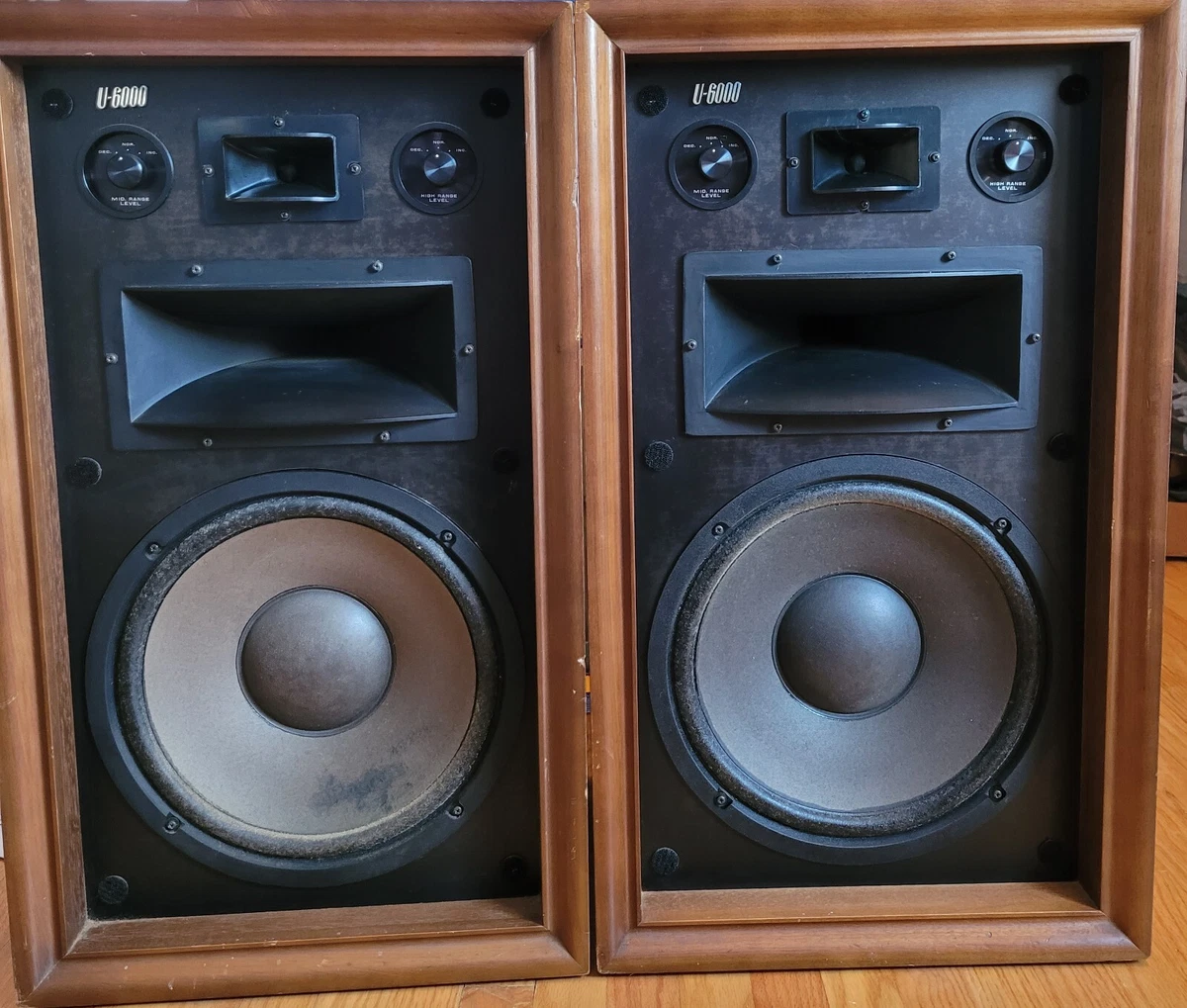 Re Veneer Speaker Matttroy