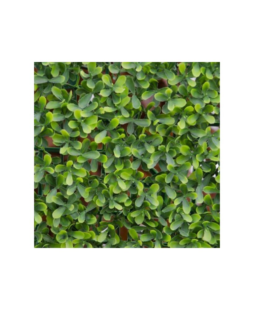 VERDELOOK SIEPE ARTIFICIALE SEMPREVERDE cm. 100x100 mod. BOXUS