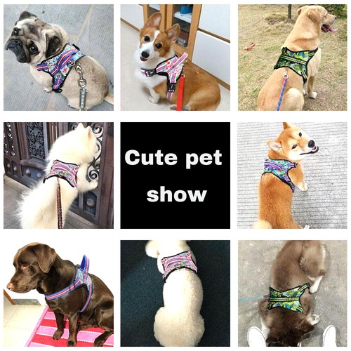 Chaleco ajustable sin tirar con arnés para perros mascotas con mango de control reflectante S-XL - Imagen 3 de 25
