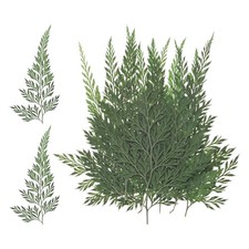 12er-Pack echte Blumenbl&auml;tter & Farn f&uuml;r Harz-Deko, DIY, Hochzeit