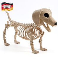 Joyin Halloween Wiener Hundeskelett 61 Cm Kunststoff Tier-Skelett Dekorationen M